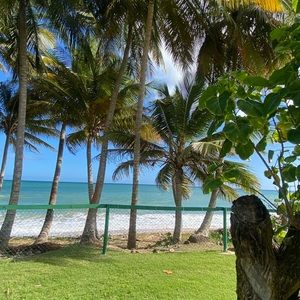 Meet your Posher, Jèa